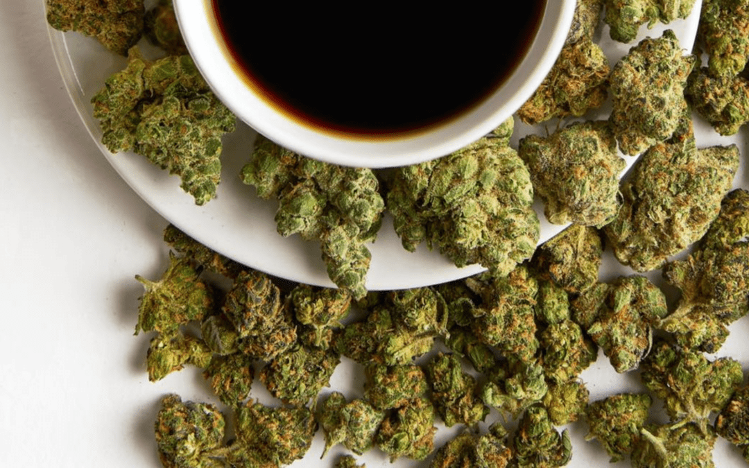 Brownie Scout Strain