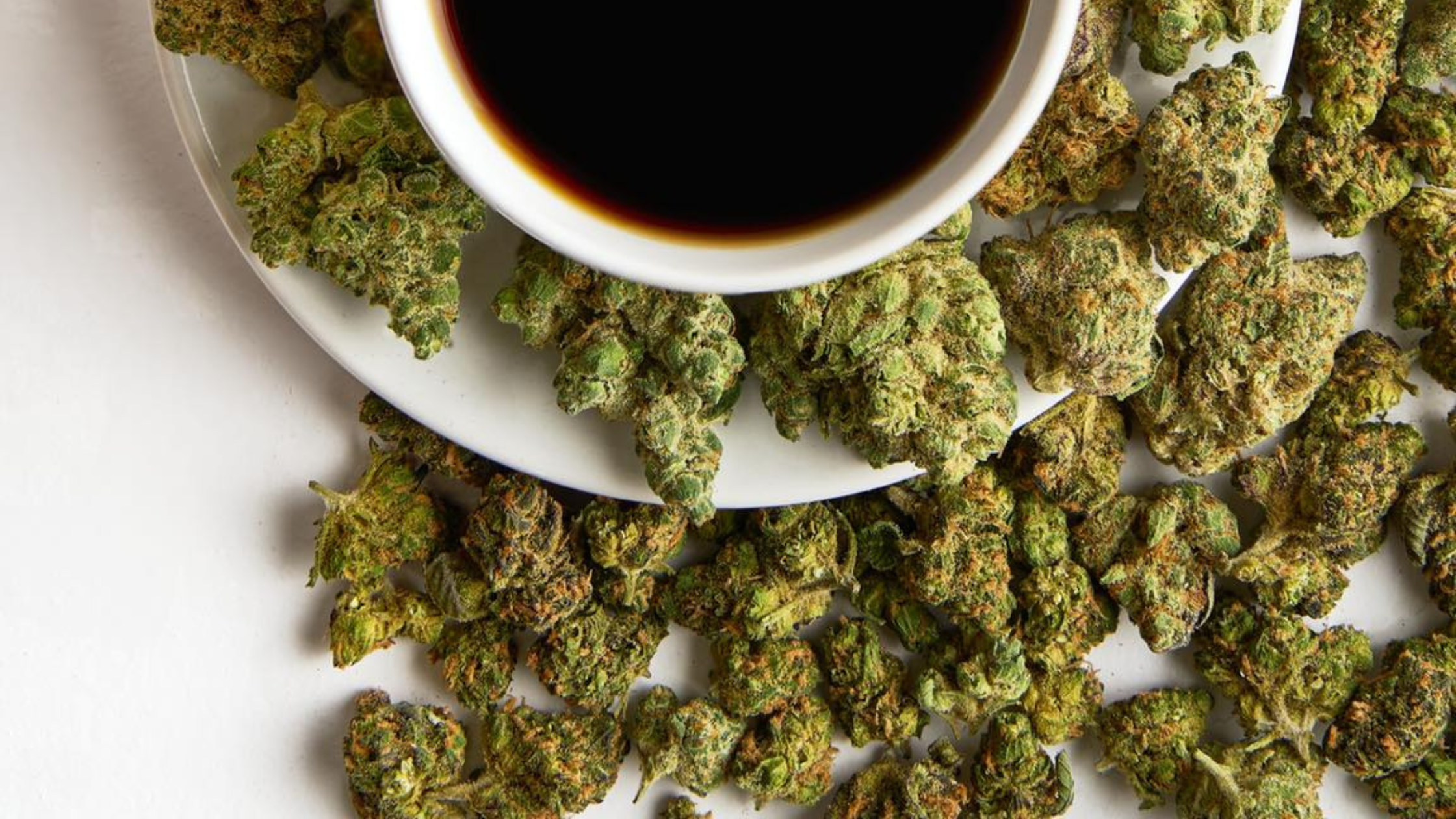 Brownie Scout Strain Brownie Scout Strain